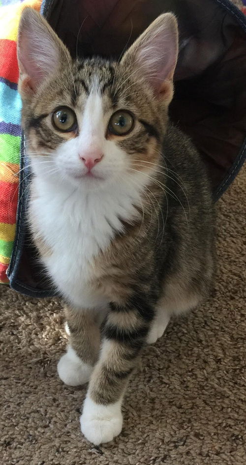 Fiona