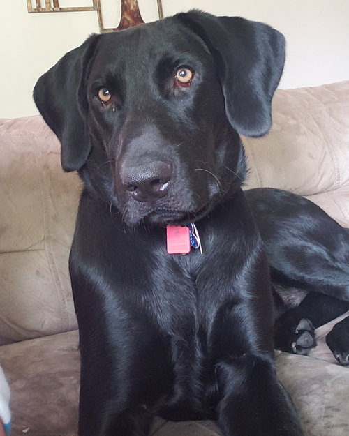 Cosmo
