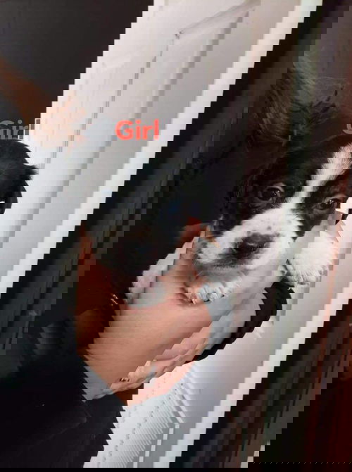 Bakaye