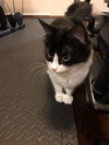 Charlie