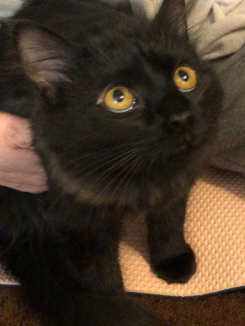 Lucy