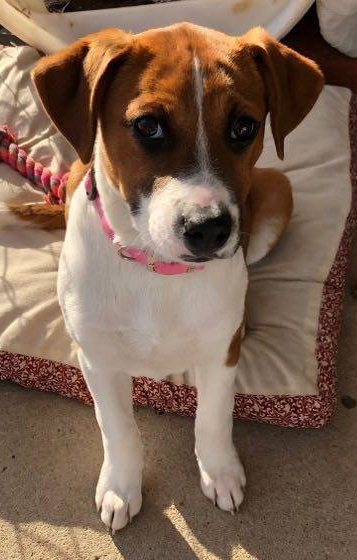 Chrissie