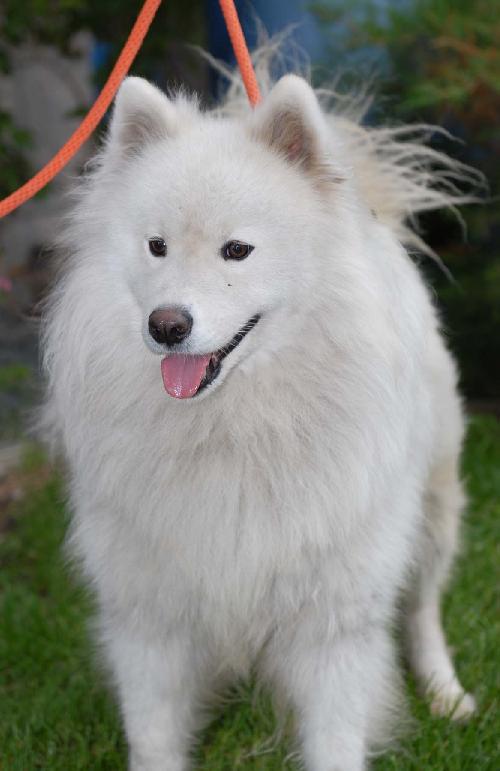 Juneau
