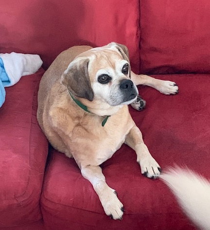 Max