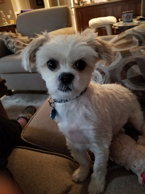 Sophie