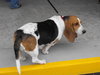 Betty