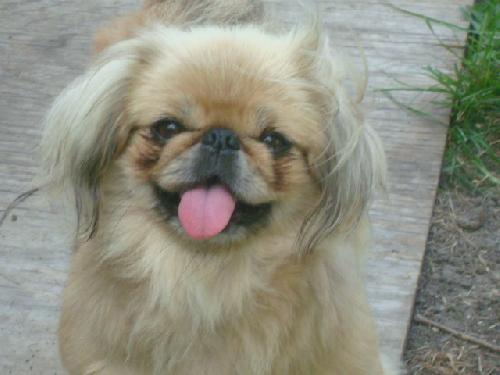 Libby