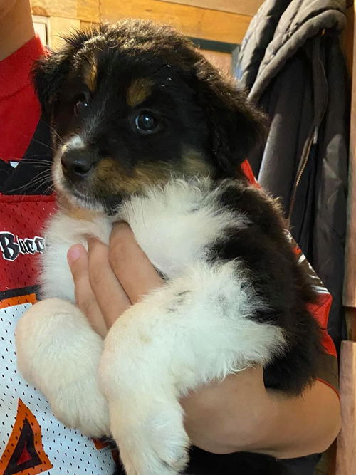 Oona
