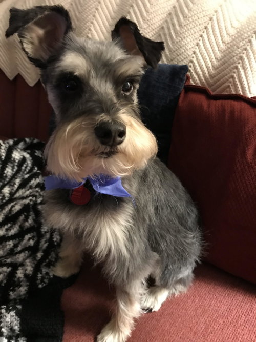 Chester