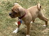 Chiquita