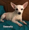 Sweet Martha