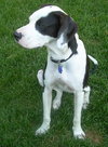 Lilly