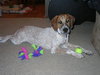 Petey