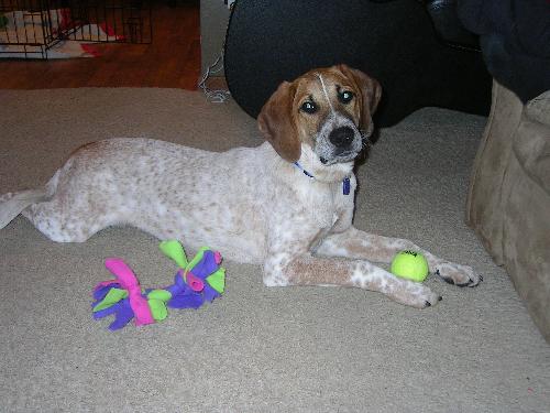 Petey