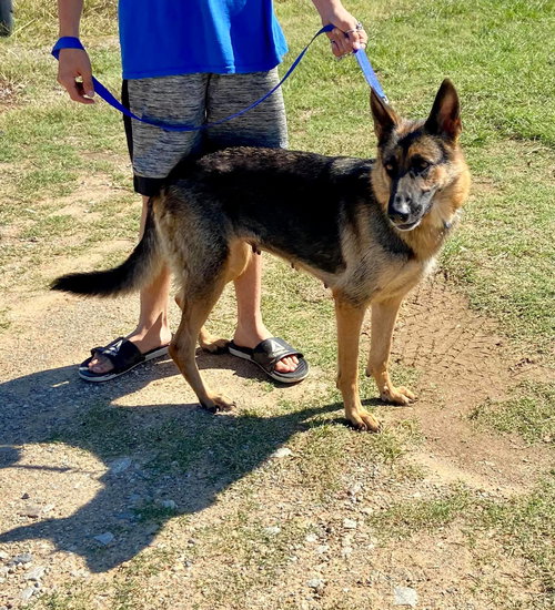 Sierra