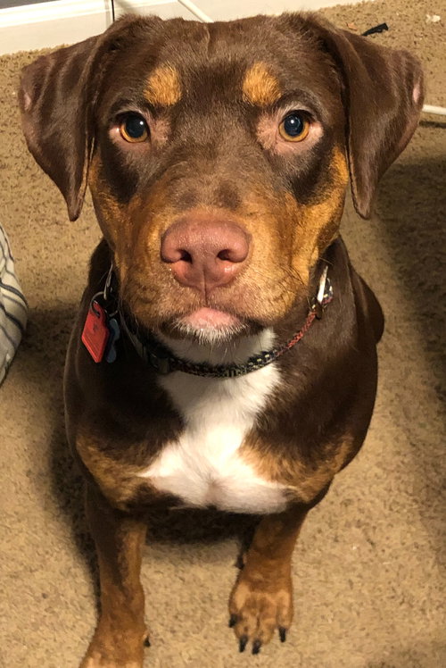 Kona