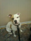 Rudy