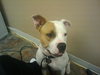 Rudy