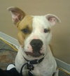 Rudy