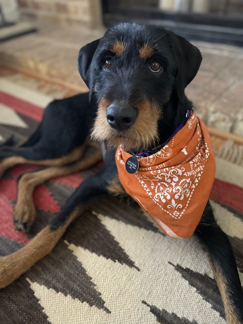 Frida