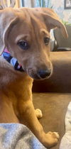 Oona