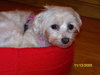 Mitzy