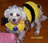 Mitzy