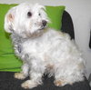 Mitzy