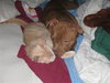 MJ