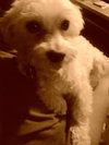 Monty