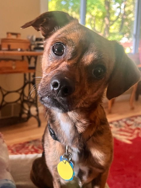 Baxter