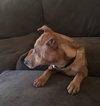 Lenny