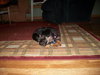 Annie
