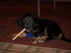 Annie
