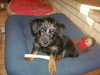 Annie