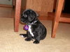Tiny