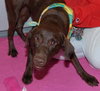 Maylee