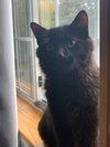 Binx