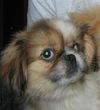 Franklin