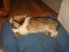 Franklin