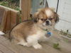 Franklin