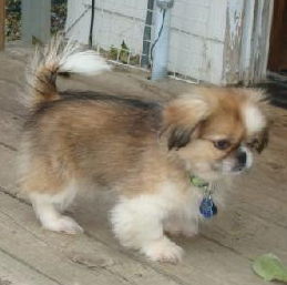 Franklin