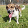 Tucker