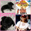 Dotty