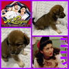 Betty