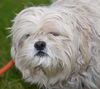 Baxter