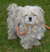 Baxter