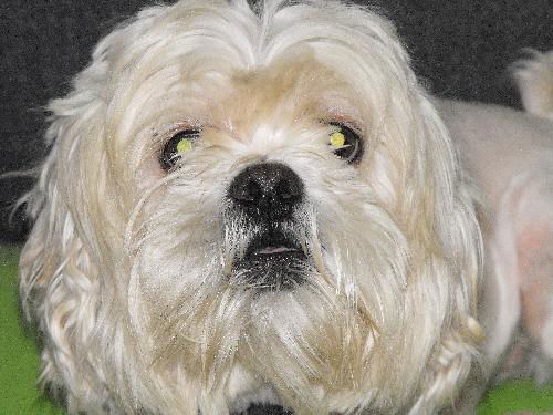 Baxter