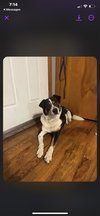 Doug