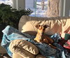 Duke